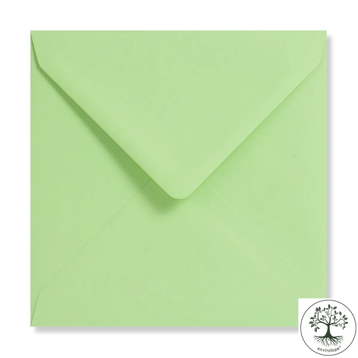Jade Green Envelopes by Clariana