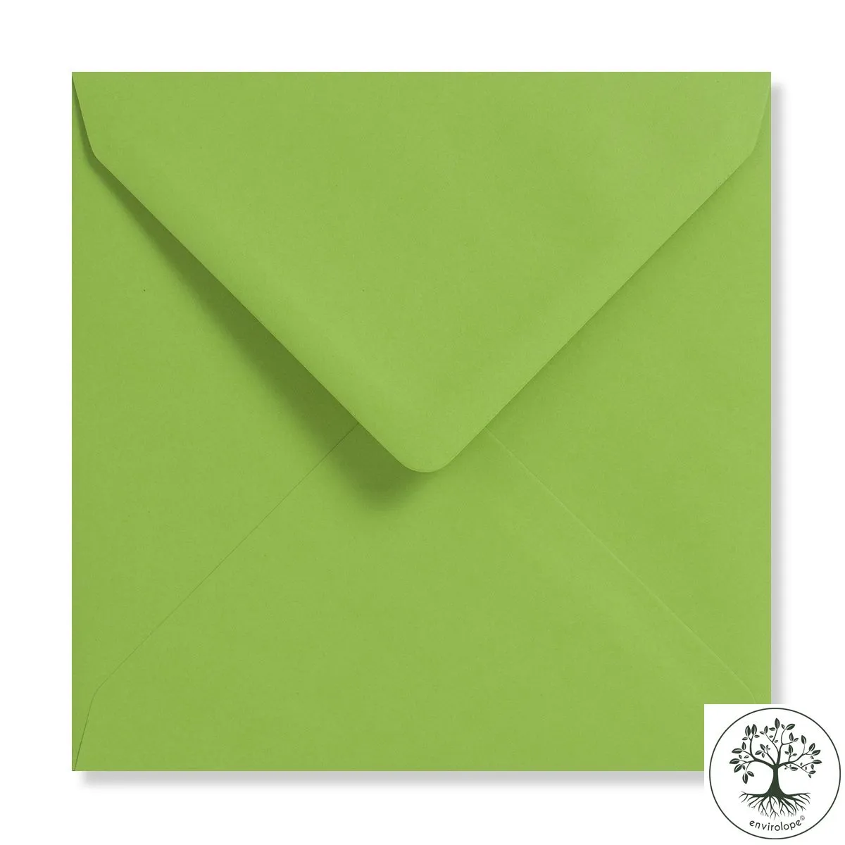 Lime Green Envelopes by Clariana